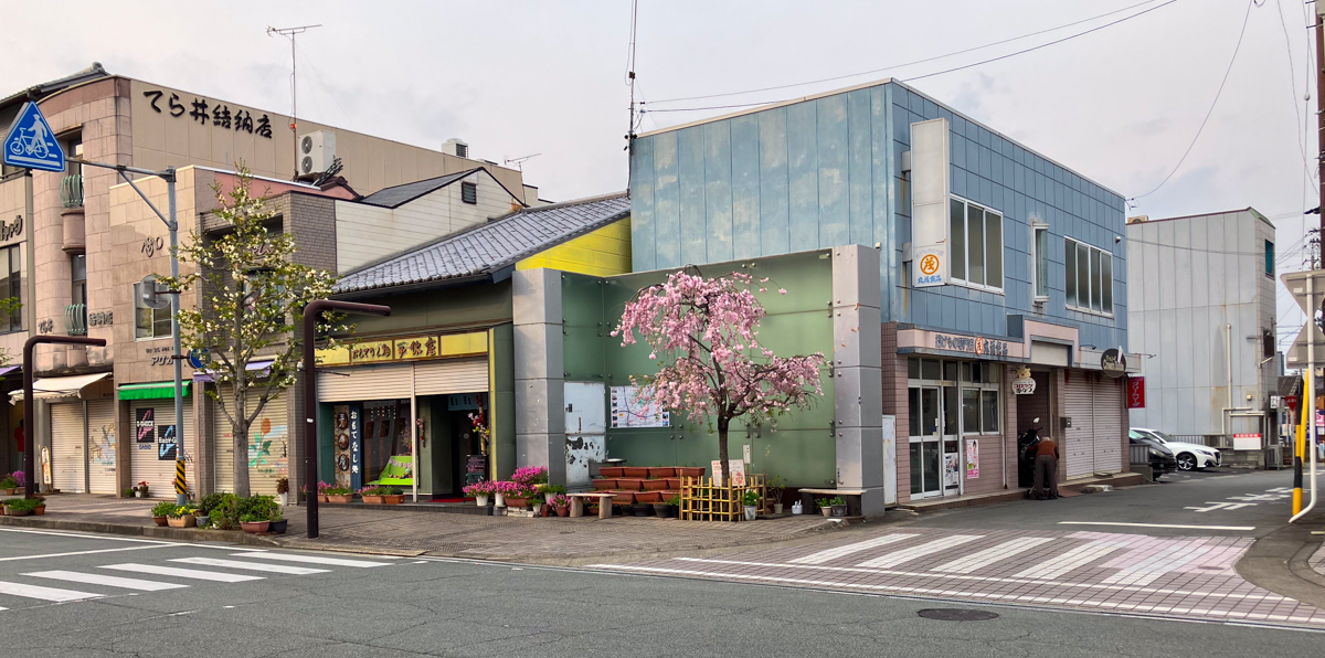 四方の桜（平生町）
